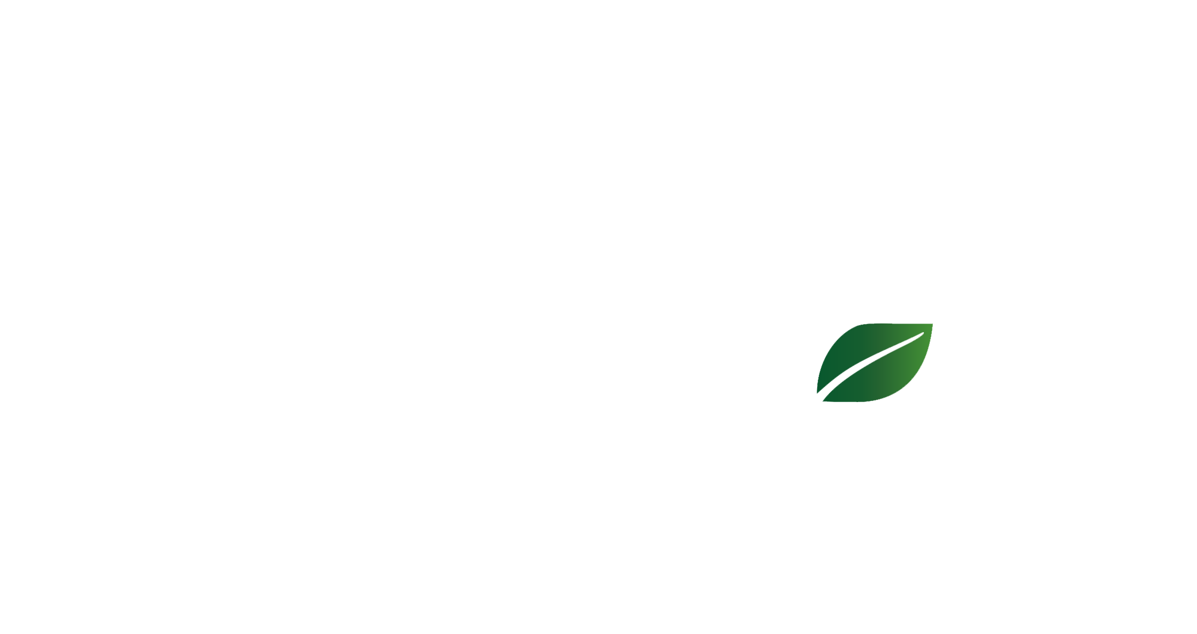 DaleMax Logo